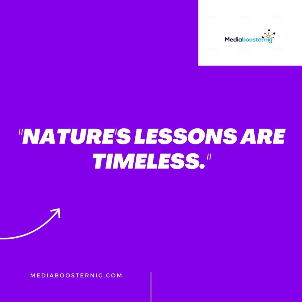 Wisdom of the Wilderness: Nature Quotes for Instagram 